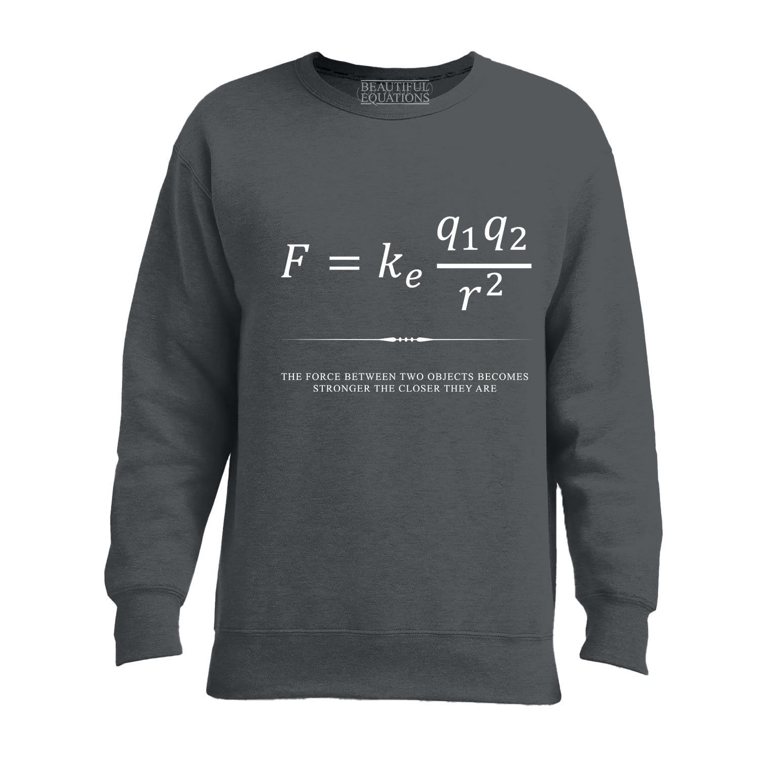 Coulomb's Law Men's Sweatshirt