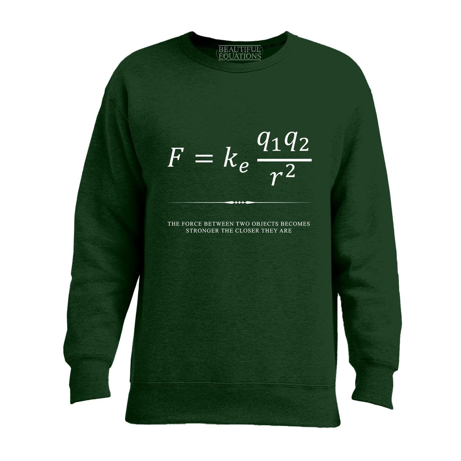 Coulomb's Law Men's Sweatshirt