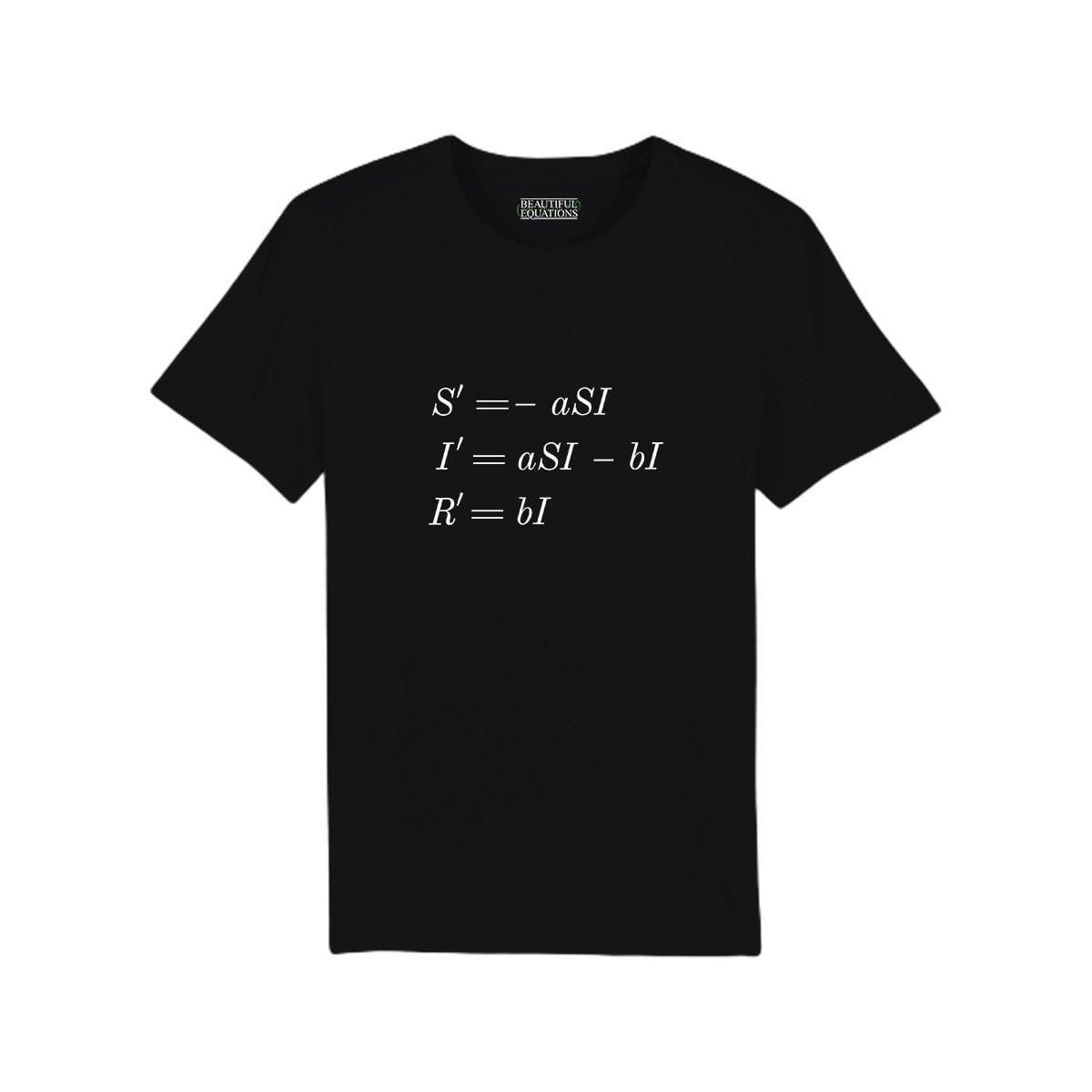 Sir-equation Tee | Maths T Shirt – Beautiful Equations